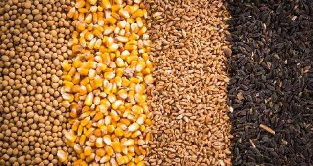 استقرار أسعار الأعلاف في السوق المحلي ليوم الخميس 19 أغسطس 2021