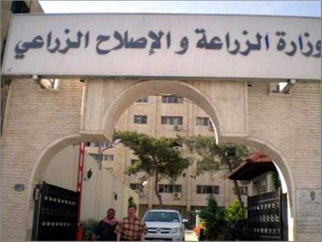 ”الزراعة”: تقديم الدعم الفني الإرشادي للمزارعين في 4 محافظات خلال الأسبوع الحالي