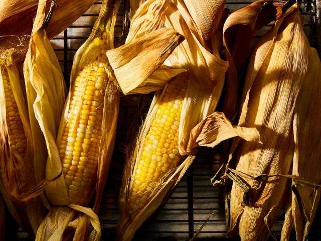 تراجع العقود الآجلة للذرة بنسبة 1.15% مع بداية تعاملات بورصة شيكاغو اليوم الجمعة