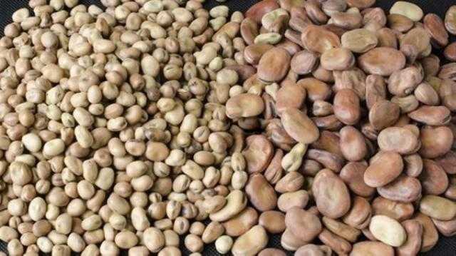 أسعار الفول بالسوق المحلي الاثنين 23 أغسطس 2021