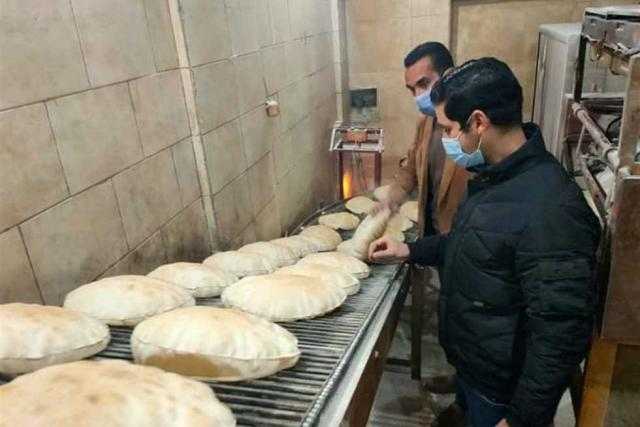 «تموين الإسكندرية» تعلن انتظام سير أعمال المخابز البلدية وصرف السلع التموينية
