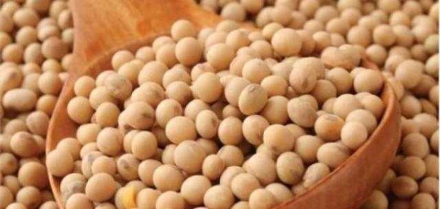 بذرة الصويا تختتم جلسة الثلاثاء على ارتفاع 43 سنت للبوشل