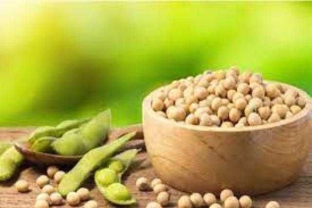 العقود الآجلة لفول الصويا تنخفض اليوم الجمعة بأكثر من 1% في بورصة شيكاغو