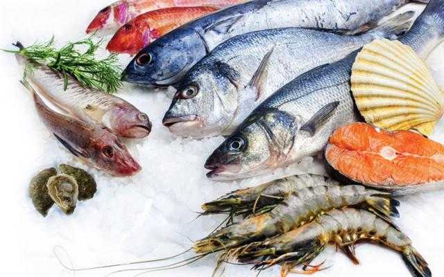 استقرار أسعار الأسماك بسوق العبور السبت 28 أغسطس 2021