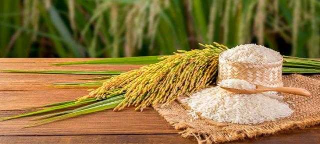 استقرار أسعار  الأرز محلياً وانخفاضه عالمياً الأحد 29 أغسطس 2021