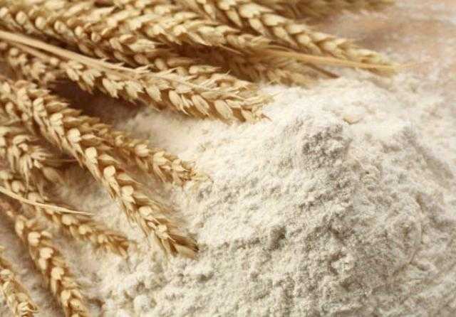أسعار القمح والدقيق اليوم الأحد 29 أغسطس 2021