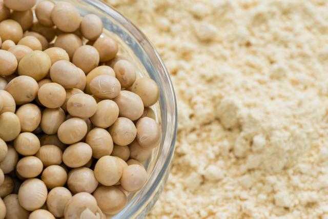 تراجع العقود الآجلة لفول الصويا اليوم الأثنين بنسبة 2.41% في بورصة شيكاغو