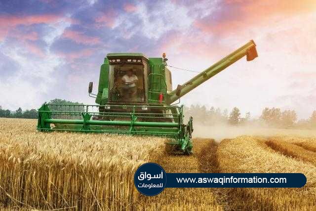 أوكرانيا تحصد أكثر من 32 مليون طن من القمح خلال عام 2021
