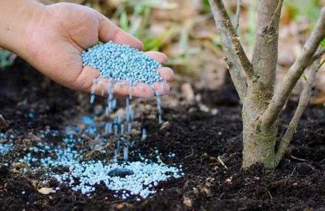 استقرار أسعار الأسمدة محلياً وارتفاعها عالمياً الثلاثاء 31 أغسطس 2021