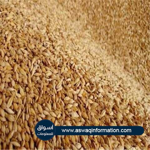 الأردن تطرح مناقصة دولية لشراء 120 ألف طن من الشعير