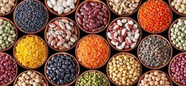 ارتفاع قيمة الصادرات الزراعية الروسية لعام 2021 إلى 20 مليار دولار