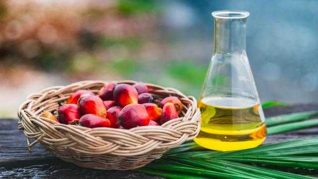 ماليزيا : تراجع صادرات زيت النخيل بحوالي 18% في أغسطس 2021