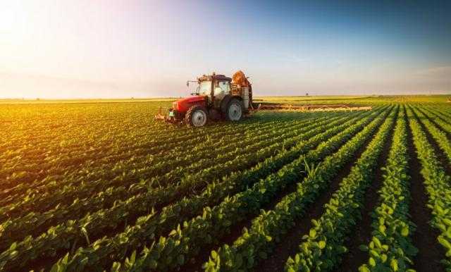 ارتفاع واردات المنتجات الزراعية الأوكرانية بنسبة 19.4 ٪ خلال عام 2021