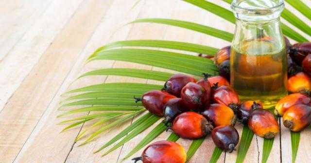 زيت النخيل الماليزي يقفز بنسبة 1.27٪ بالجلسة الصباحية اليوم