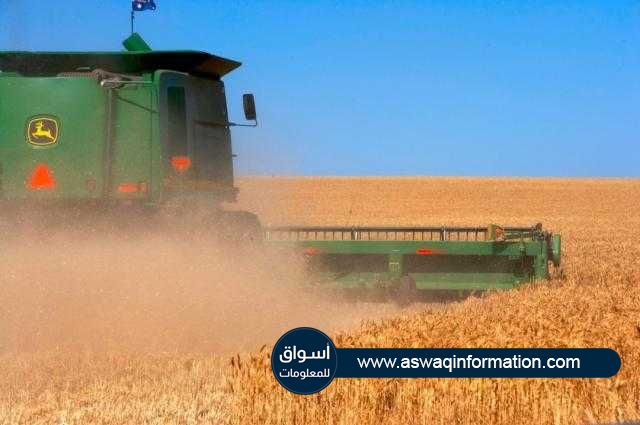 اكتمال حصاد الحبوب بنسبة 50٪ في كازاخستان خلال عام 2021