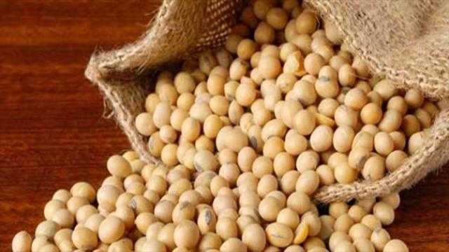 بذرة الصويا تواصل الهبوط بنهاية تداولات الثلاثاء
