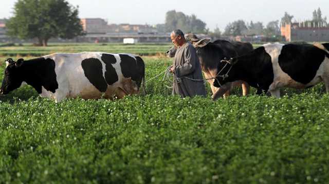 أمين حزب مستقبل وطن : الفلاح يمثل الأمن القومي الغذائي للدولة المصرية