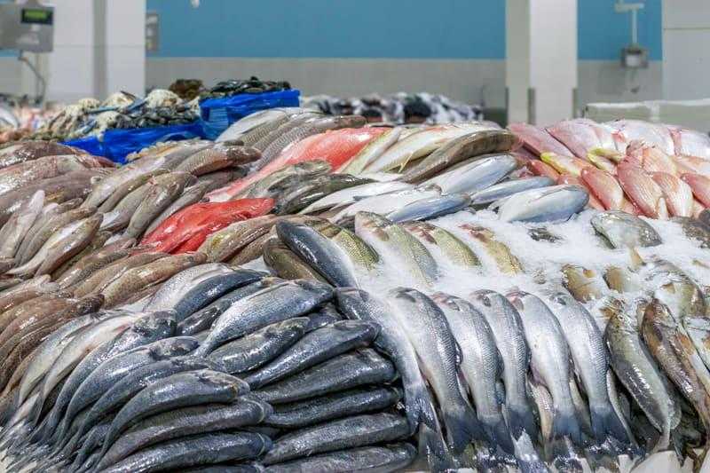 أسعار السمك اليوم الإثنين 23 يناير جملة.. كيلو الفيليه البلطي يبدأ من 30 جنيها