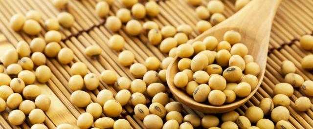 عقود فول الصويا الآجلة تغلق علي تراجع ببورصة شيكاغو اليوم