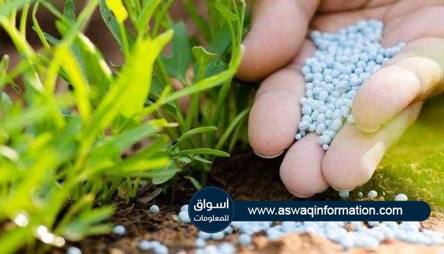 تعرف علي ..أسعار الأسمدة الزراعية محلياً وعالمياً اليوم السبت 11 سبتمبر