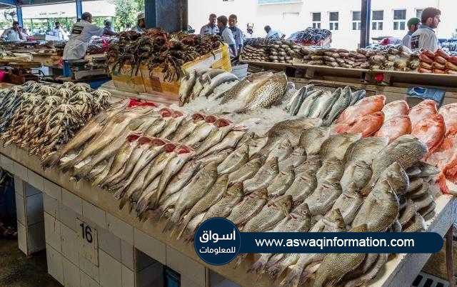 تعرف علي أسعار الماكولات البحرية في السوق المحلي اليوم السبت