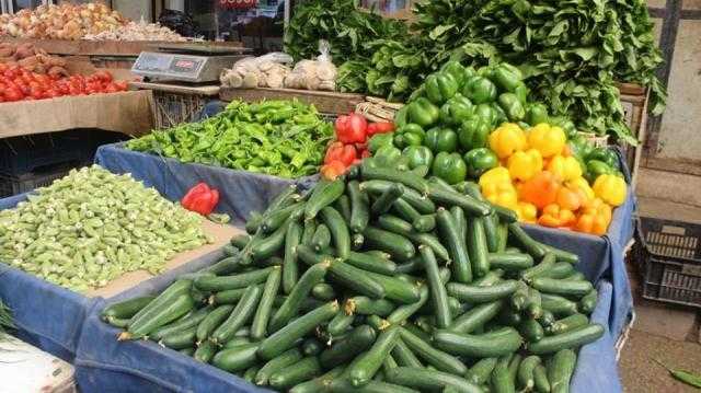 ارتفاع أسعار البامية الخضراء والثوم مع استقرار باقي أسعار الخضروات