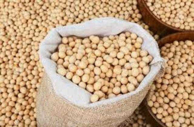عقود الصويا الآجلة تختتم أولي جلسات الأسبوع بتراجع طفيف لا يصل إلى 0.25% في بورصة شيكاغو