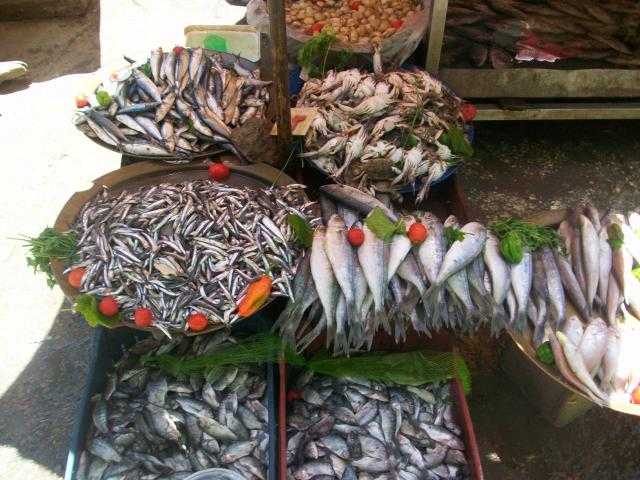 أسعار الأسماك لدى المستهلك اليوم .. والبوري بنحو  65 جنيه للكيلو