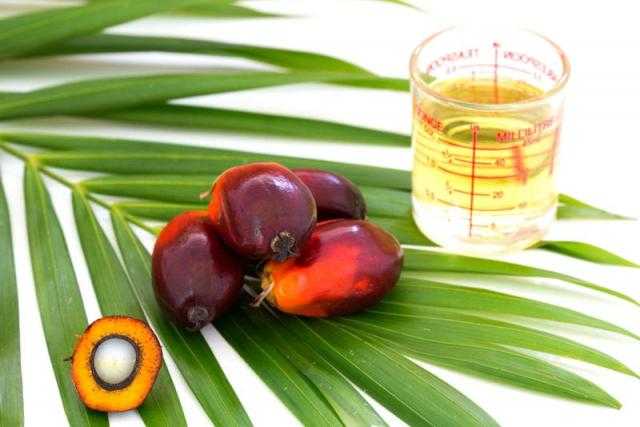 ارتفاع العقود الآجلة لزيت النخيل بمقدار 5 دولار في بداية تداولات اليوم