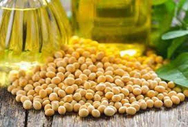 عقود زيت الصويا الآجلة تستكمل مكاسبها اليوم الثلاثاء في بورصة شيكاغو للتجارة