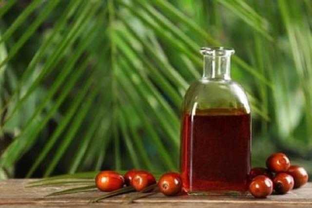 استقرار العقود الآجلة لزيت النخيل عند 1195 دولار للطن بنهاية تداولات بورصة ماليزيا