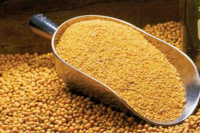 كسب الصويا يغلق على ارتفاع 4.5 دولار ببورصة شيكاغو للتجارة اليوم الخميس