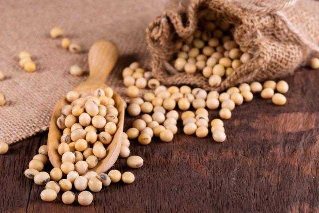 تراجع العقود الآجلة لبذرة الصويا بنهاية جلسات الأسبوع ببورصة شيكاغو للتجارة
