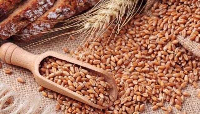 استقرار أسعار القمح محلياً اليوم السبت وتراجعها عالمياً