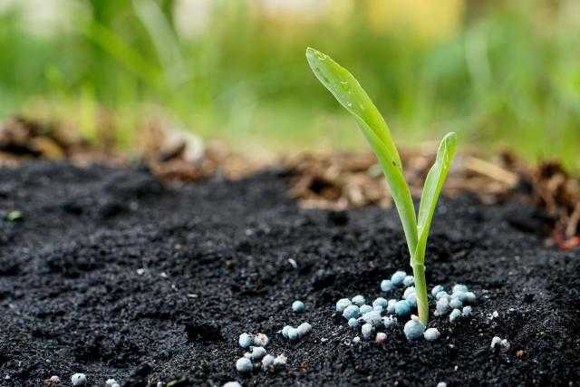 أسعار الأسمدة بالسوق المحلي والعالمي الأحد 19 سبتمبر 2021