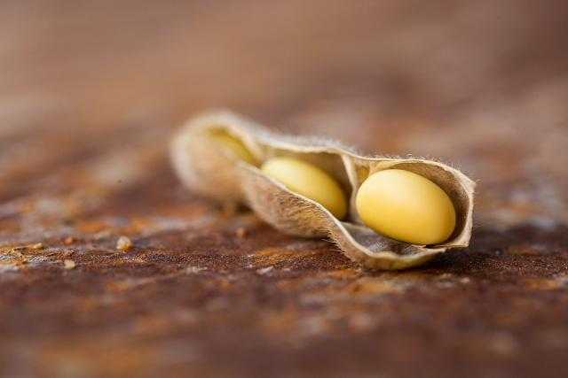 تراجع العقود الآجلة للصويا ببداية جلسة أول الأسبوع ببورصة شيكاغو