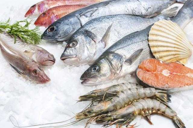 محافظة دمياط تعلن عن عدة مزايدات لبيع إنتاج المزارع السمكية