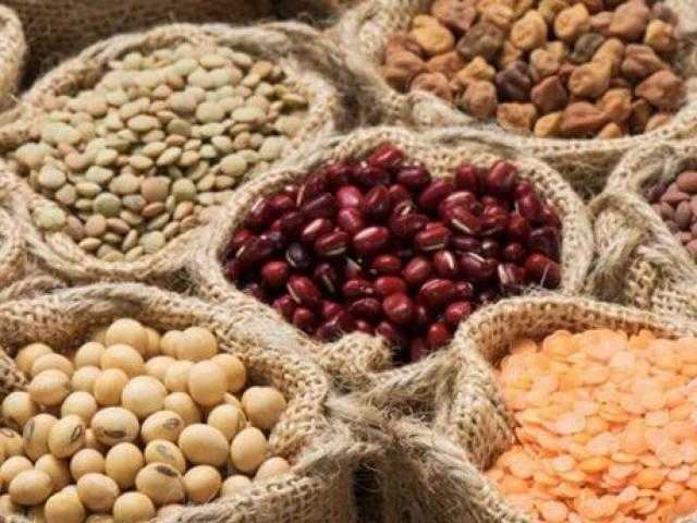 ارتفاع صادرات الحبوب الأمريكية مع انتعاش موانئ الخليج من إعصار إيدا