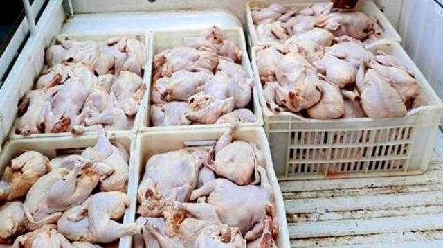 مباحث التموين تضبط 11.5 طن لحوم ومصنعات دواجن فاسدة قبل ترويجها بالأسواق
