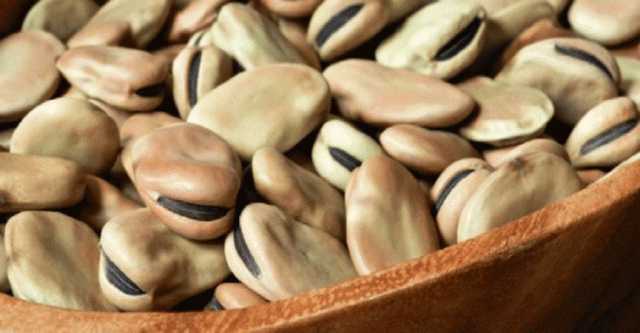 تعرف على أسعار الفول لـ التاجر والمستهلك اليوم الأحد