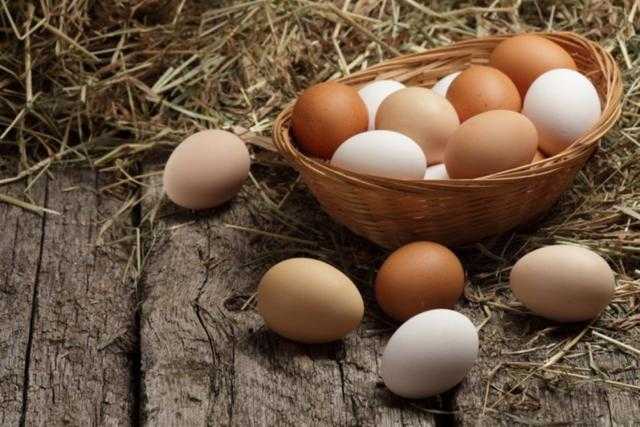 استقرار أسعار البيض بالمزرعة اليوم الأحد 10 أكتوبر 2021