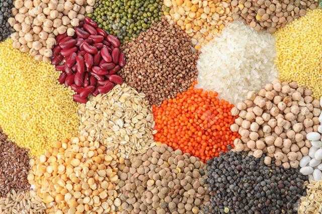 صادرات أوكرانيا من الحبوب والبقوليات ترتفع بالموسم الجديد