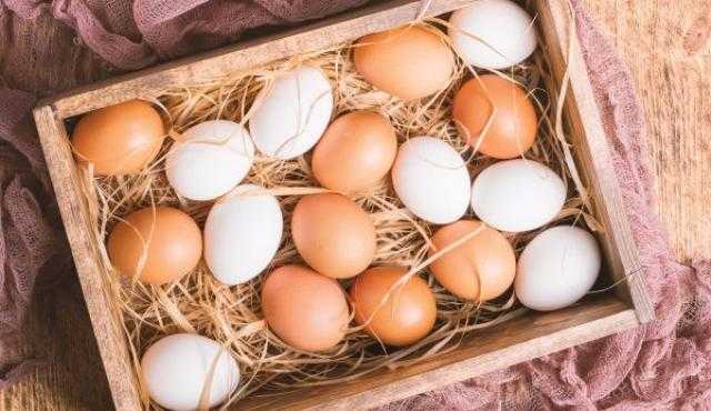 أسعار البيض بالمزرعة اليوم السبت 16 أكتوبر 2021