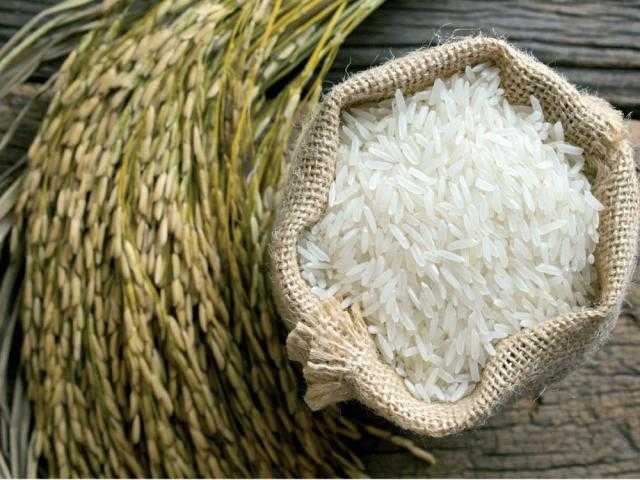 تراجع العقود الآجلة للأرز عند تسوية التداولات في بورصة شيكاغو