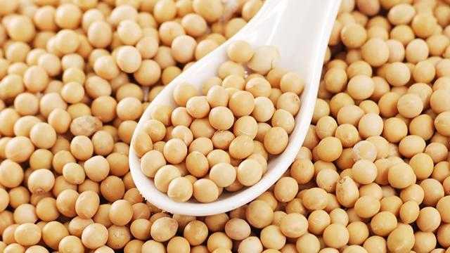 بذرة الصويا تواصل تراجعها  في بورصة شيكاغو بنهاية تداولات الثلاثاء