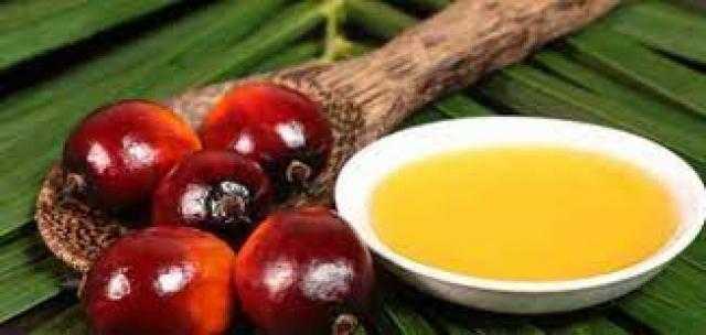 انخفاض العقود الآجلة لزيت النخيل بمقدار 10 دولار في بداية التعاملات اليوم