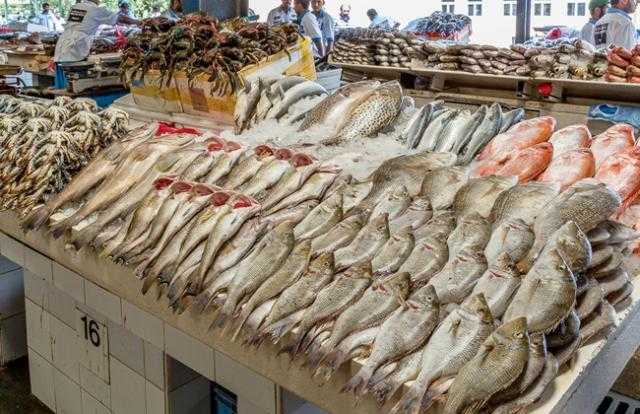 أسعار الأسماك بسوق العبور.. انخفاض قشر البياض والثعابين