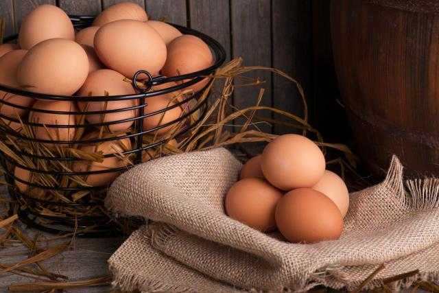 استقرار أسعار البيض بالمزرعة اليوم الأربعاء 6 أكتوبر 2021