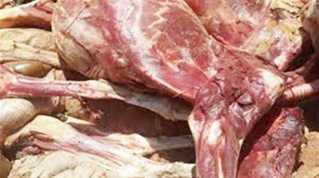 ضبط 17 طن لحوم وأغذية فاسدة في الإسكندرية