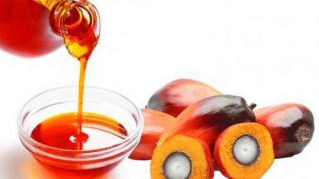 ارتفاع العقود الآجلة لزيت النخيل بمقدار 35 دولار على مدار اليوم